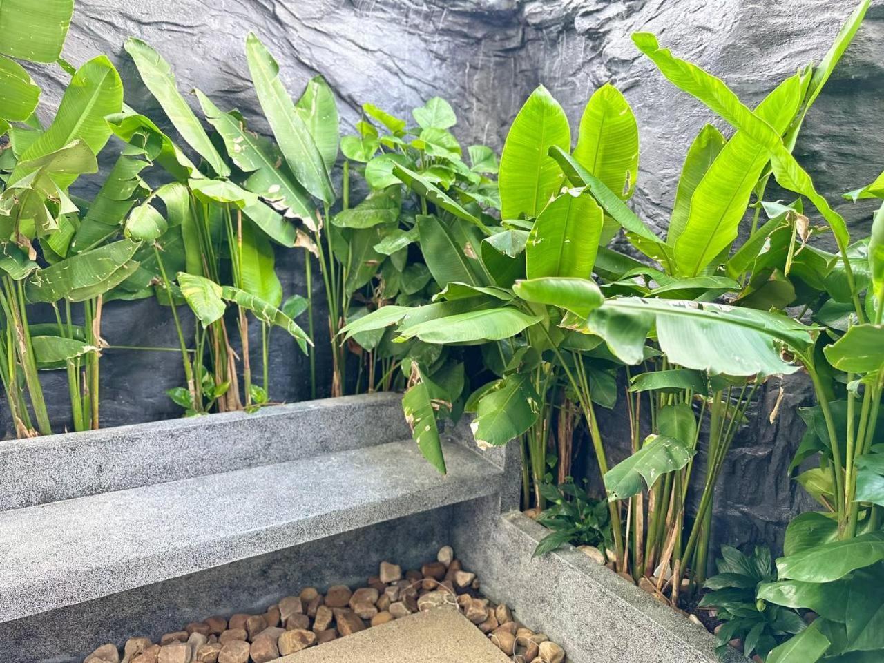 קמפוט Raing Phnom Bungalow מראה חיצוני תמונה